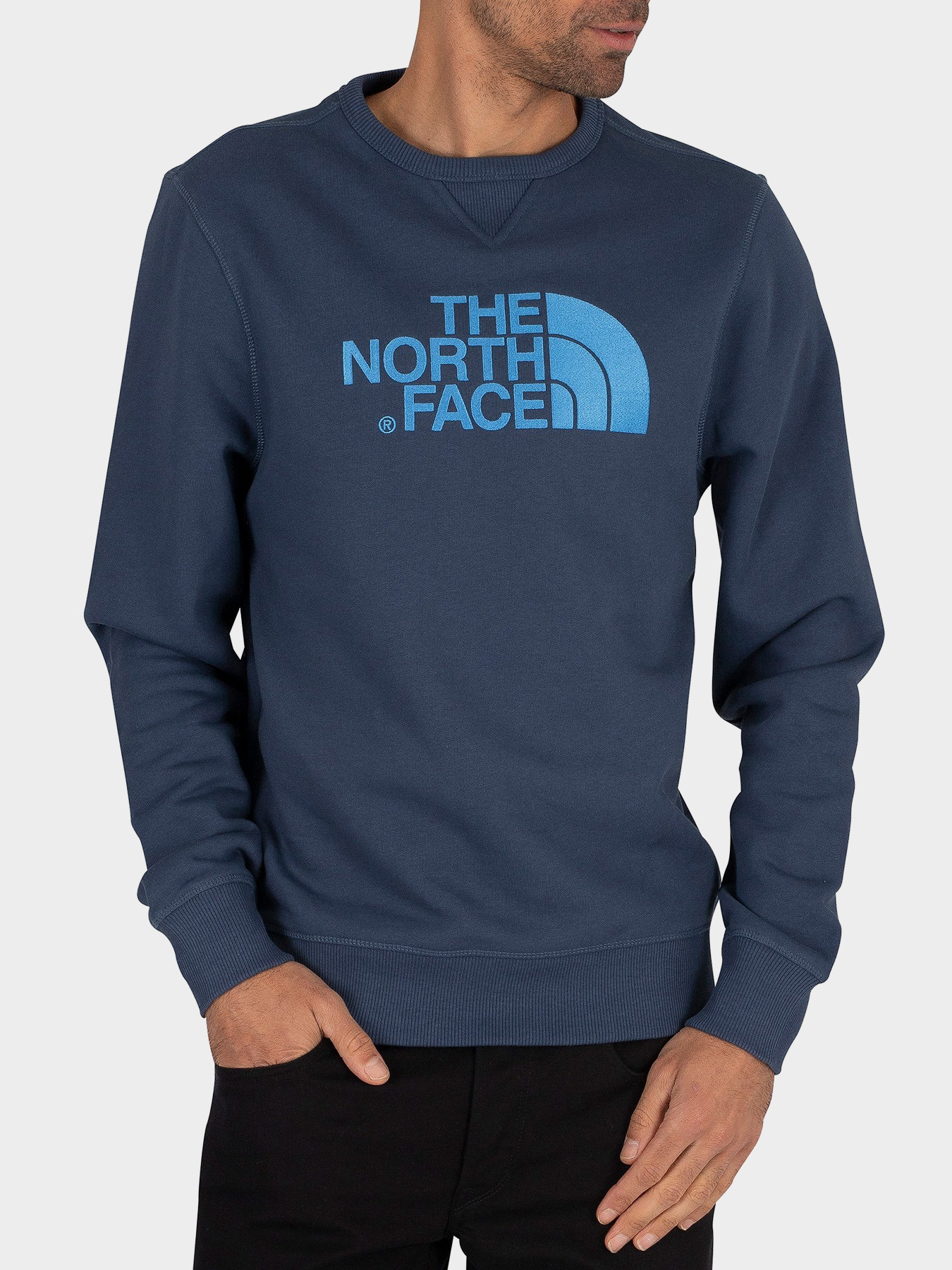 Свитшот The North Face Drew Peak модель NF0A2ZWRN4L1 Фото
