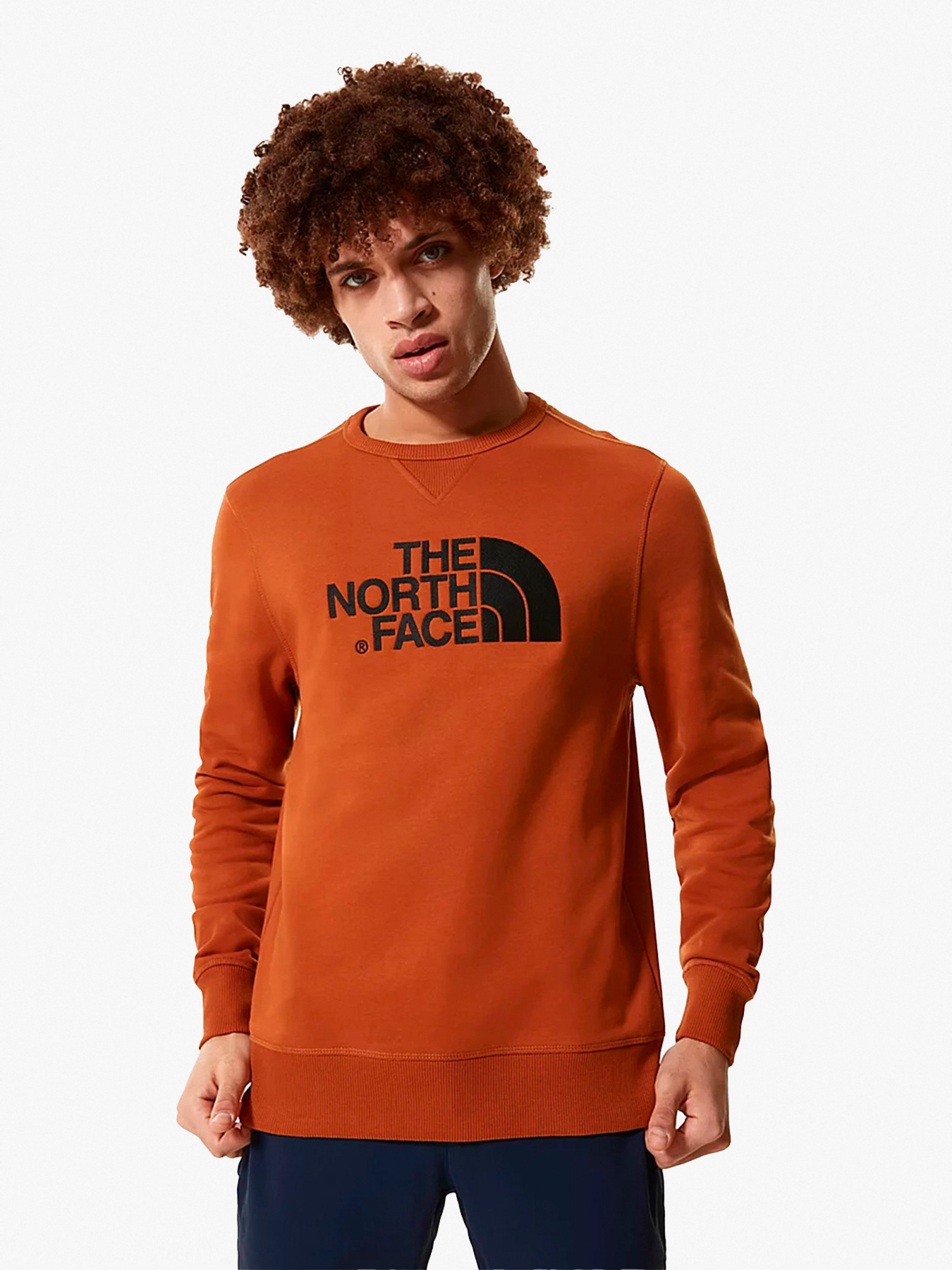 Свитшот The North Face модель NF0A2ZWRUBT1 Фото