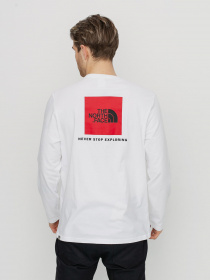 Реглан The North Face REDBOX модель NF0A493LFN41 Фото