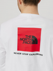 Реглан The North Face REDBOX модель NF0A493LFN41 Фото