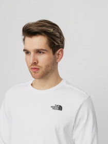 Реглан The North Face REDBOX модель NF0A493LFN41 Фото