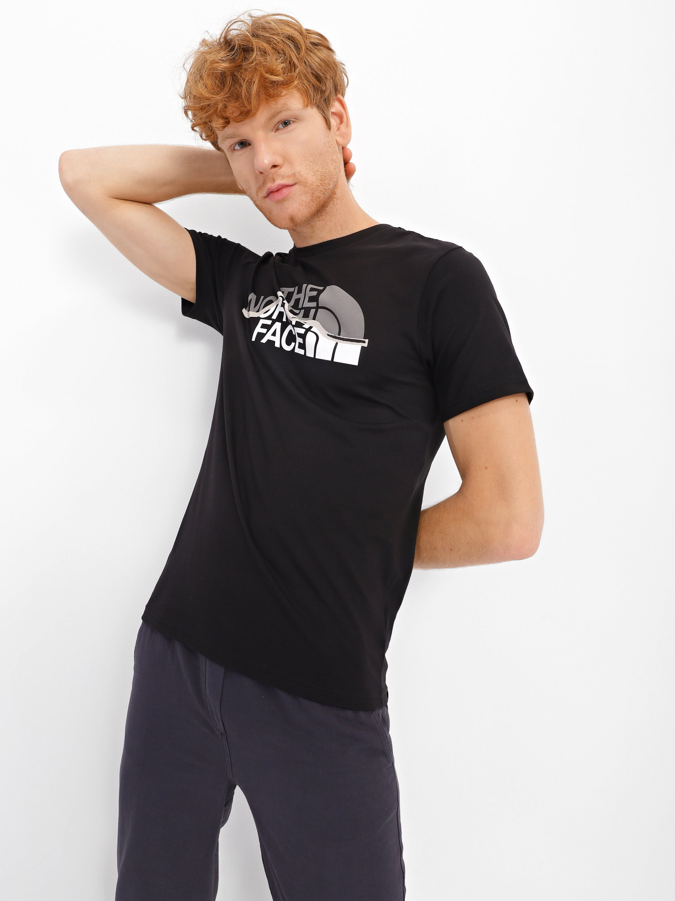 Футболки и поло The North Face S/S Mountain Line Tee модель NF00A3G2JK31 Футболки и поло The North Face S/S Mountain Line Tee модель NF00A3G2JK31 Фото