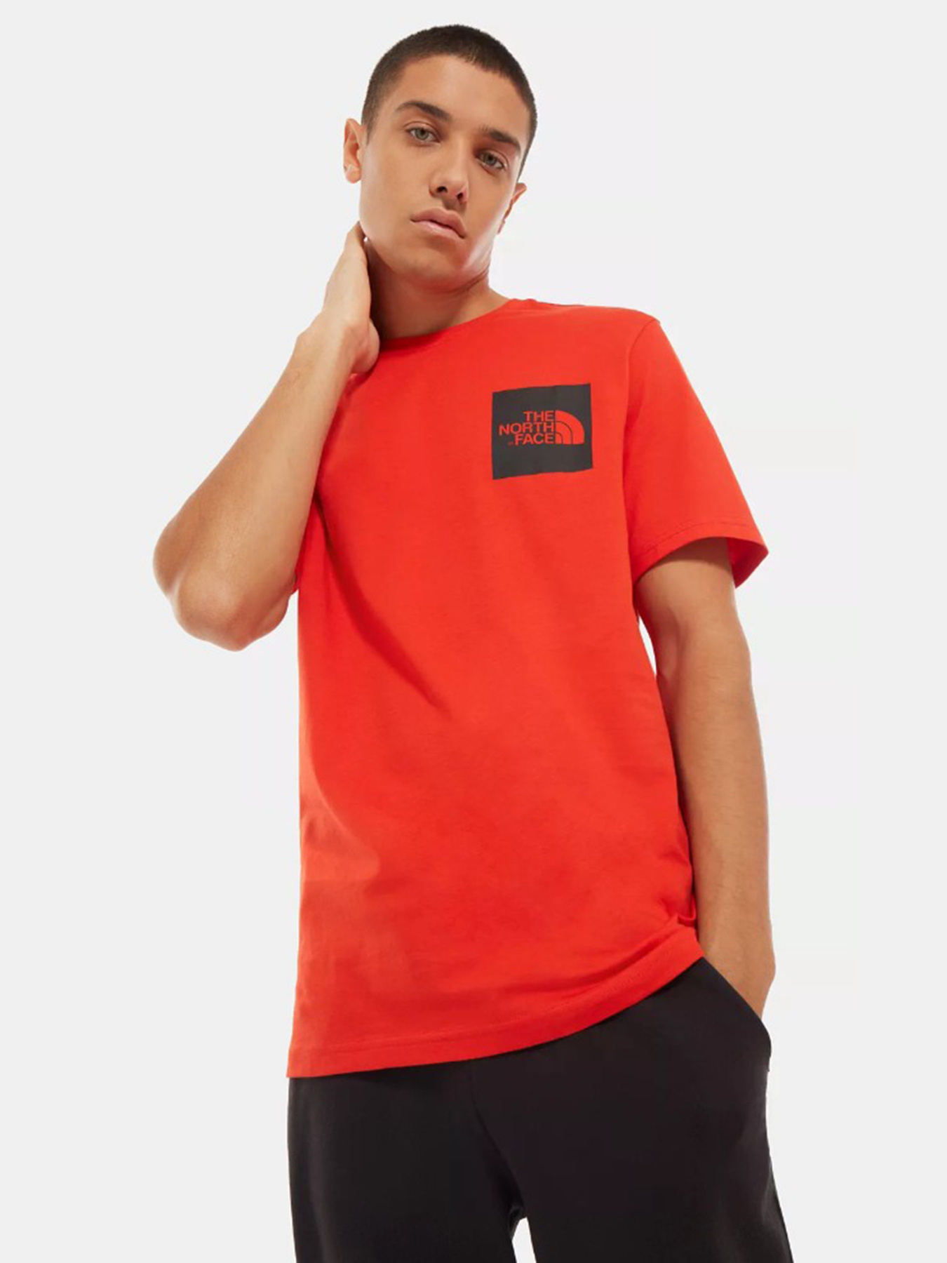 Футболки и поло The North Face Fine модель NF00CEQ515Q1 Фото