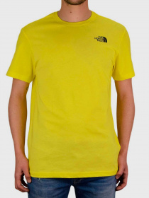 Футболки и поло The North Face Redbox  модель NF0A2TX2DW91 Фото