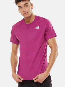 Футболки і поло The North Face Redbox  модель NF0A2TX2ZDN1 Фото