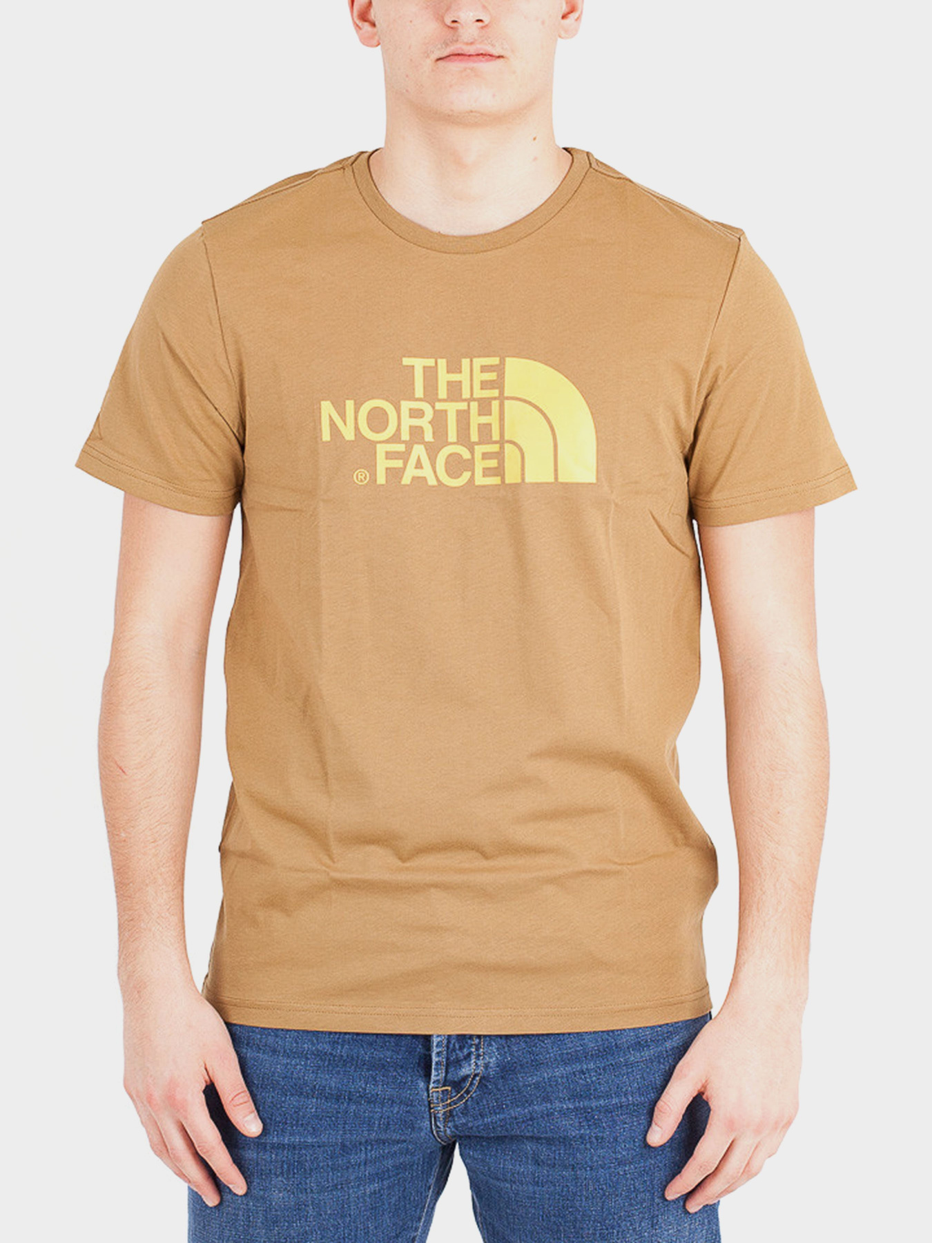 Футболки і поло The North Face модель NF0A2TX3D9V1 Фото