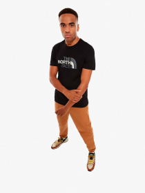 Футболка The North Face M SS Easy Tee модель NF0A2TX3JK31 Фото