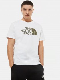Футболки и поло The North Face модель NF0A2TX3PW21 Фото