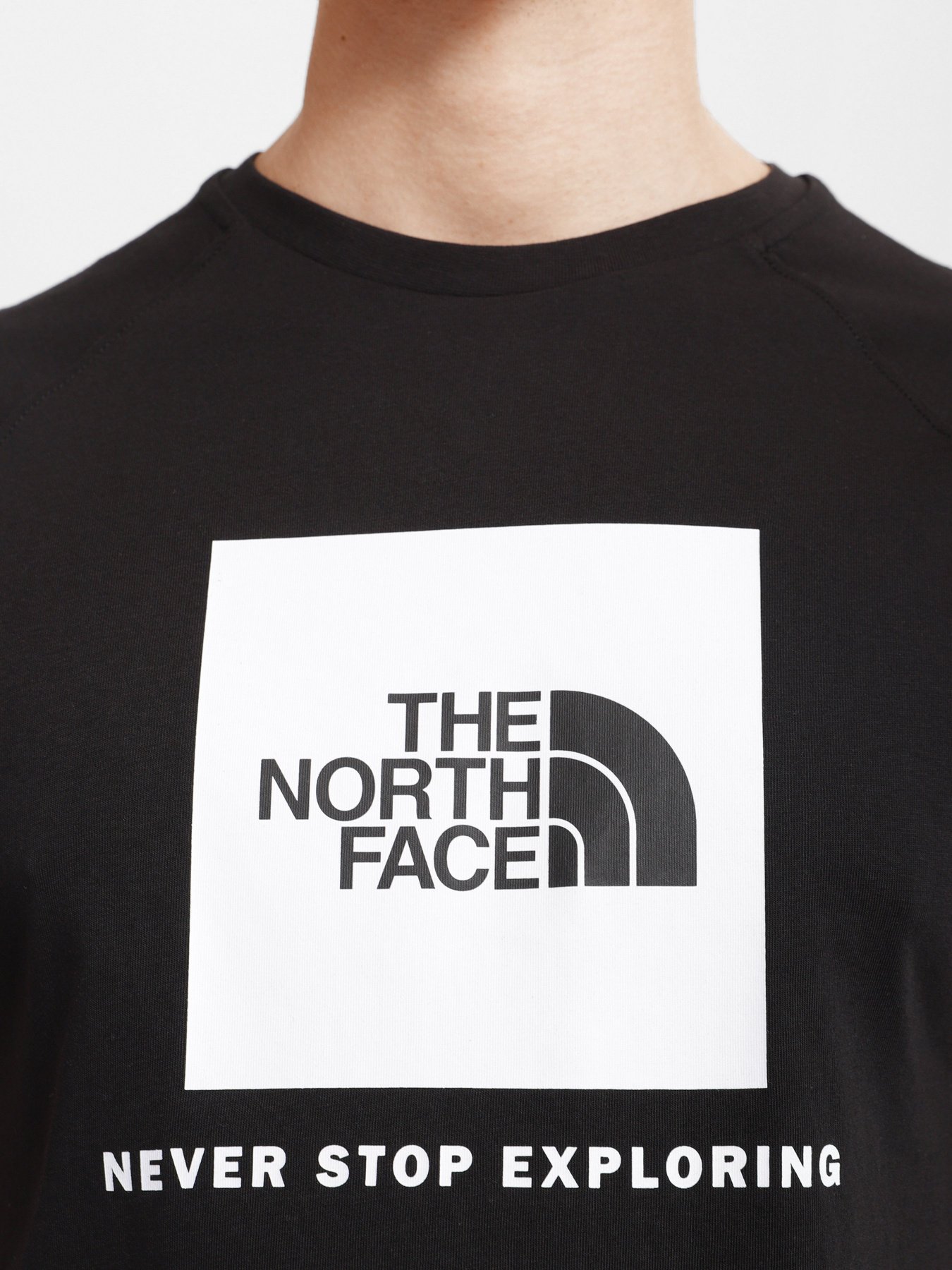 Футболка The North Face Raglan Redbox модель NF0A3BQOKY41 Фото