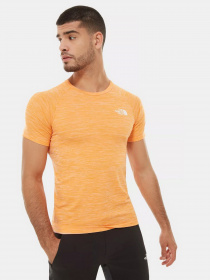 Футболка The North Face Impendor  модель NF0A3S1DKT41 Фото