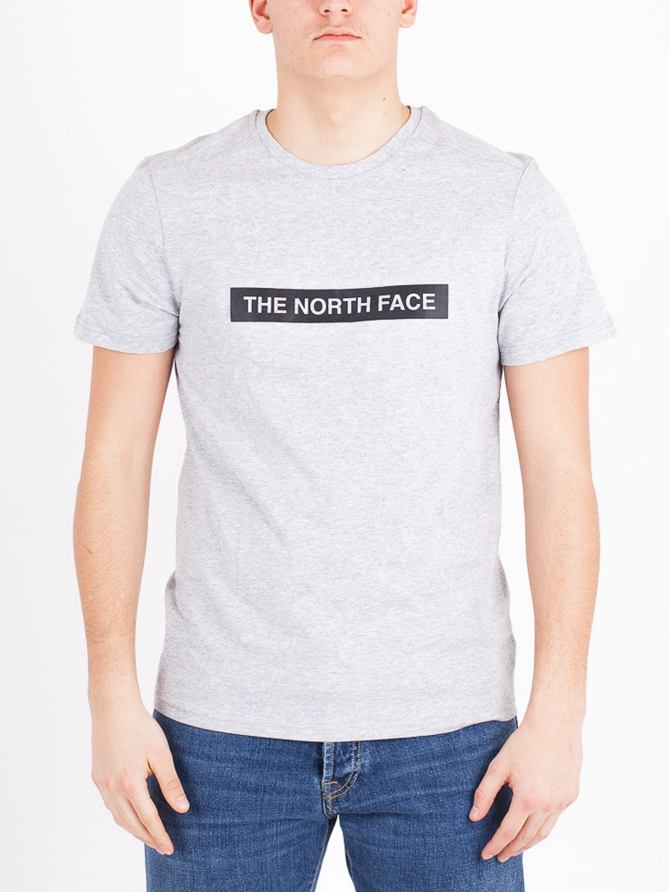 Футболка The North Face Light модель NF0A3S3ODYX1 Фото