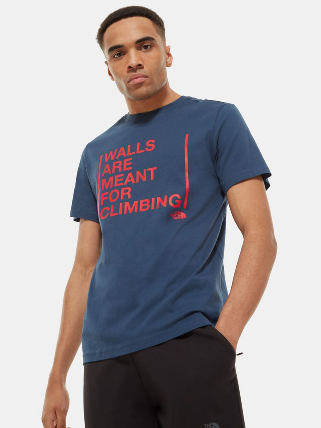 Футболки і поло The North Face Walls Are Meant For Climbing модель NF0A3S3SN4L1 Фото