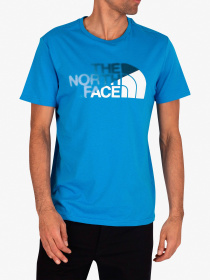 Футболки и поло The North Face модель NF0A4M6OMF71 Футболки и поло The North Face модель NF0A4M6OMF71 Фото