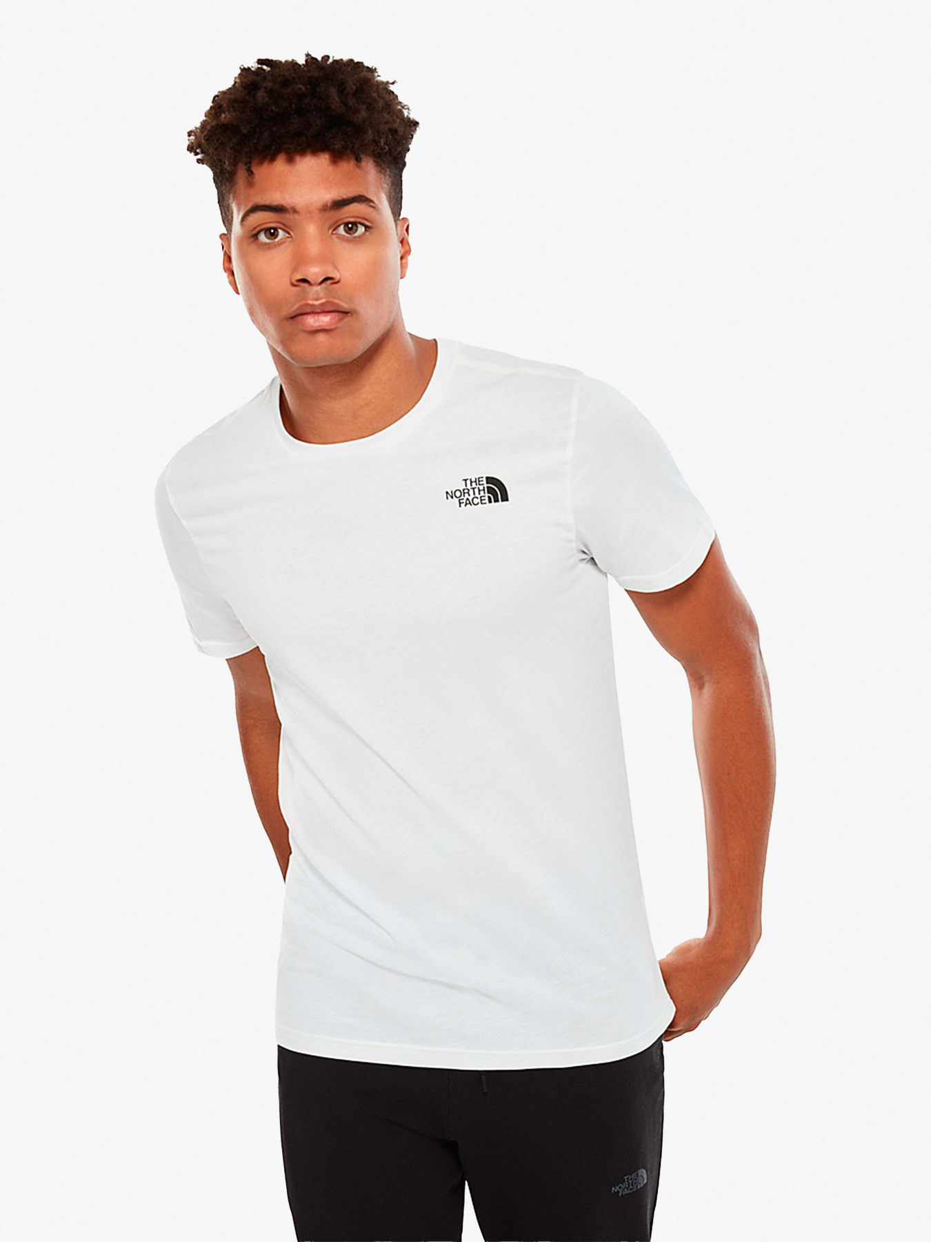 Футболки и поло The North Face модель NF0A4M6PP801 Фото