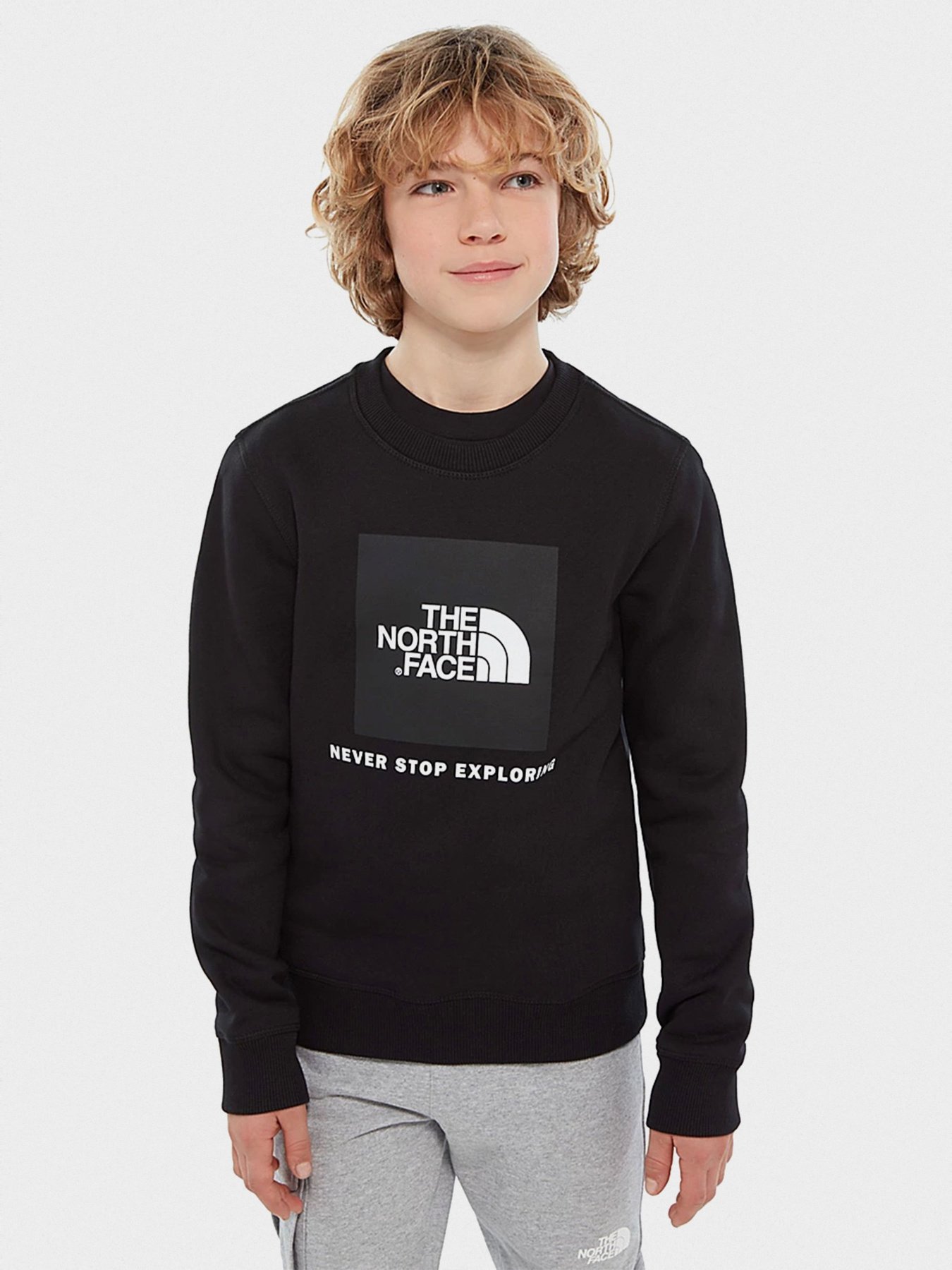 Свитшот The North Face Box Drew Peak модель NF0A37FYKX71 Фото