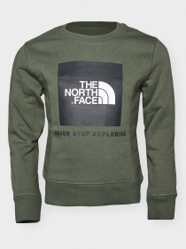 Свитшот The North Face Box Drew Peak модель NF0A37FYNYC1 Фото