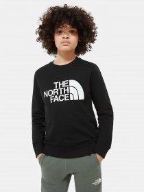 Свитшот The North Face Drew Peak Light модель NF0A492XJK31 Фото