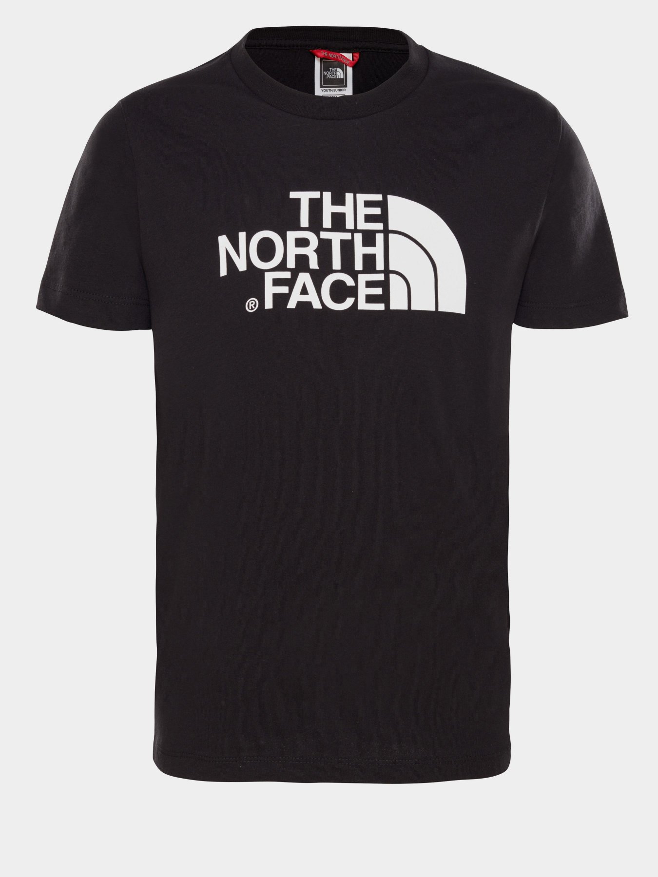 Футболка The North Face Easy модель NF00A3P7KY41 Фото