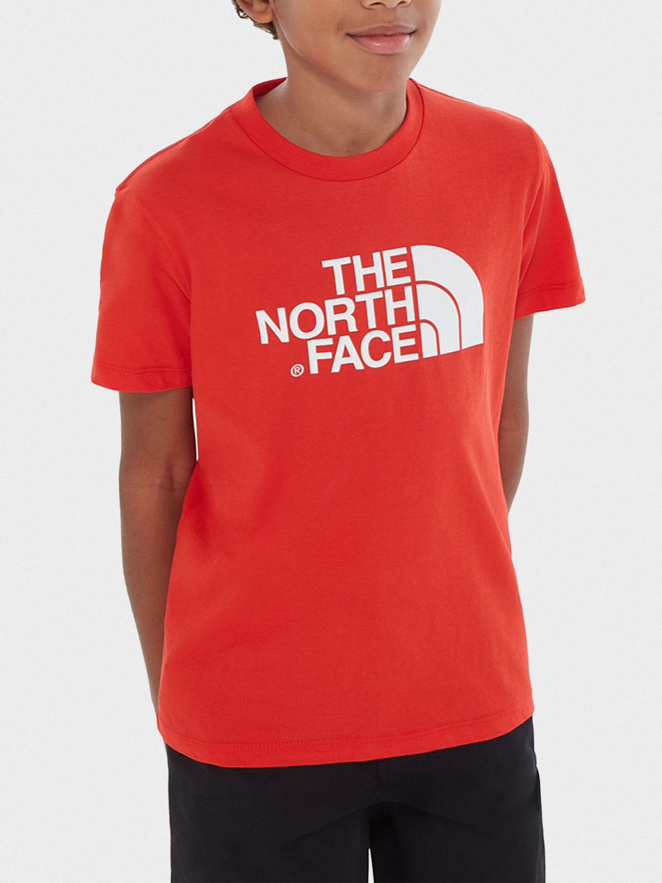 Футболки и поло The North Face Easy модель NF00A3P7M6J1 Фото