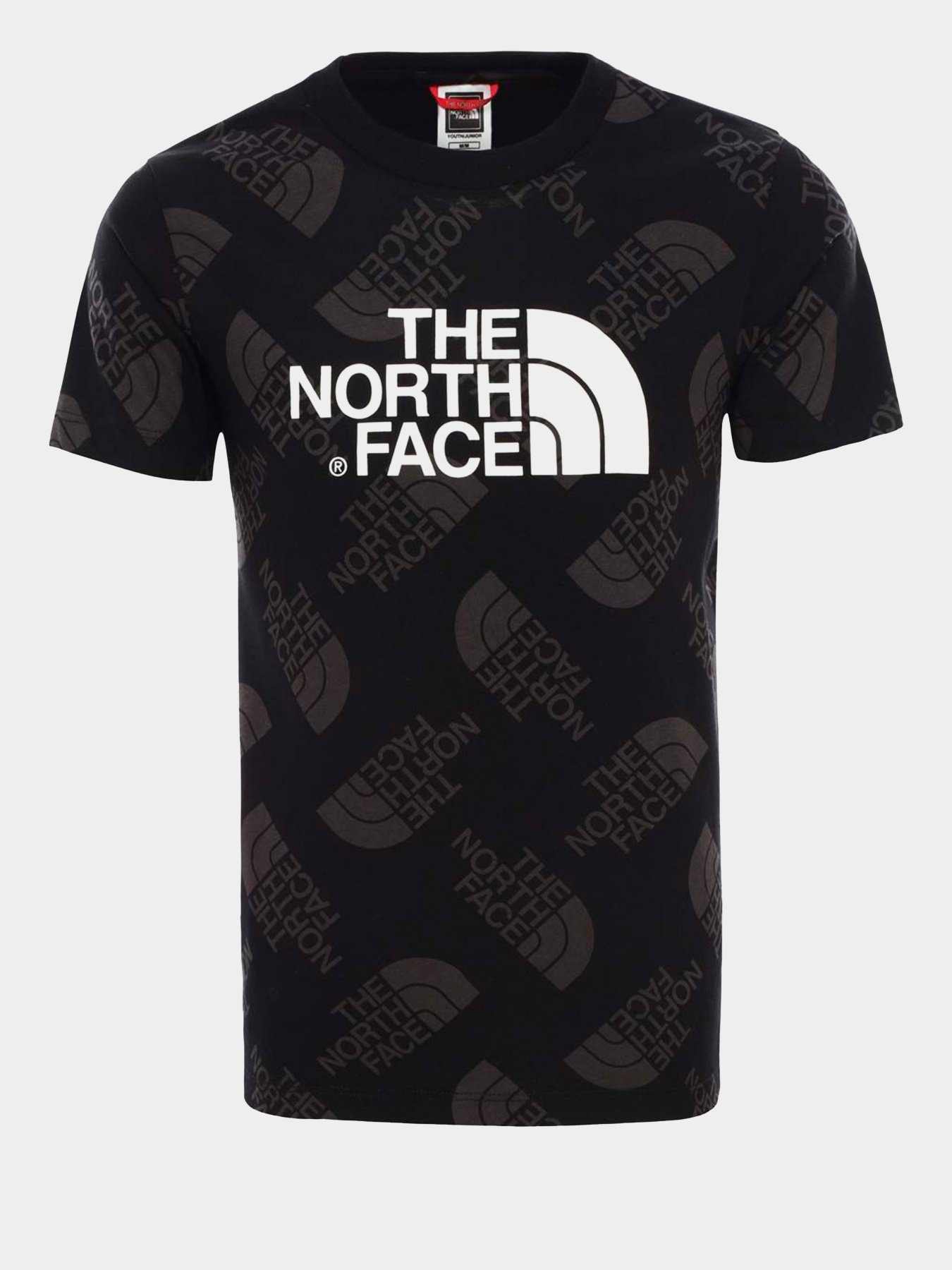 Футболки и поло The North Face Easy модель NF00A3P7M831 Фото