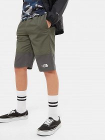 Шорты The North Face Class V модель NF0A3YBLPX51 Фото