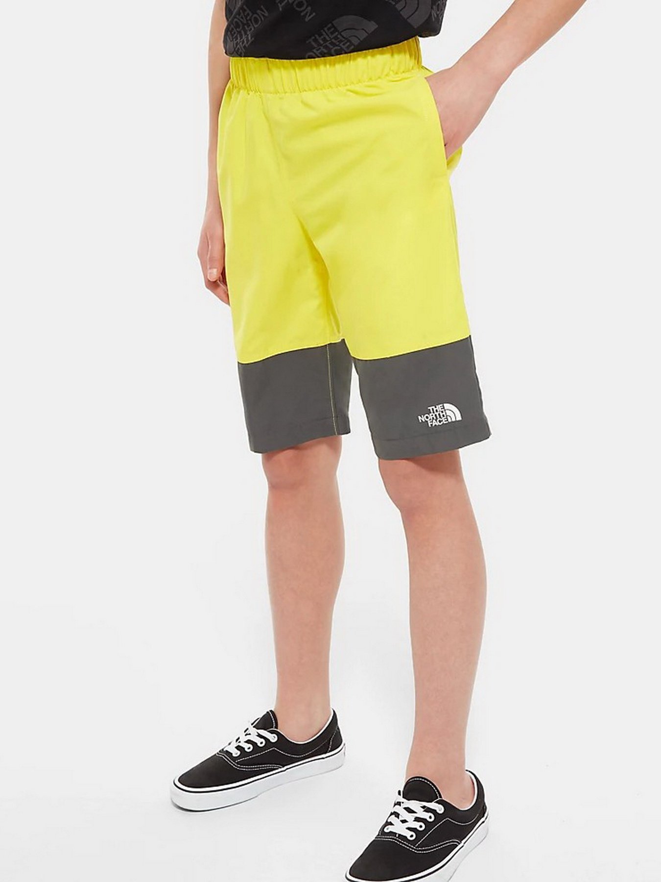 Повседневные шорты The North Face Class V модель NF0A3YBLPX61 Фото