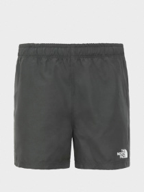 Шорты The North Face High Class Five Water модель NF0A3NIHPW71 Фото