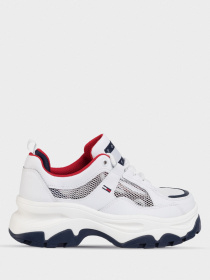 Кроссовки Tommy Hilfiger модель EN0EN00808-C87 Фото