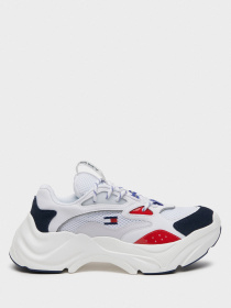 Кроссовки Tommy Hilfiger модель EN0EN00791-0KP Фото