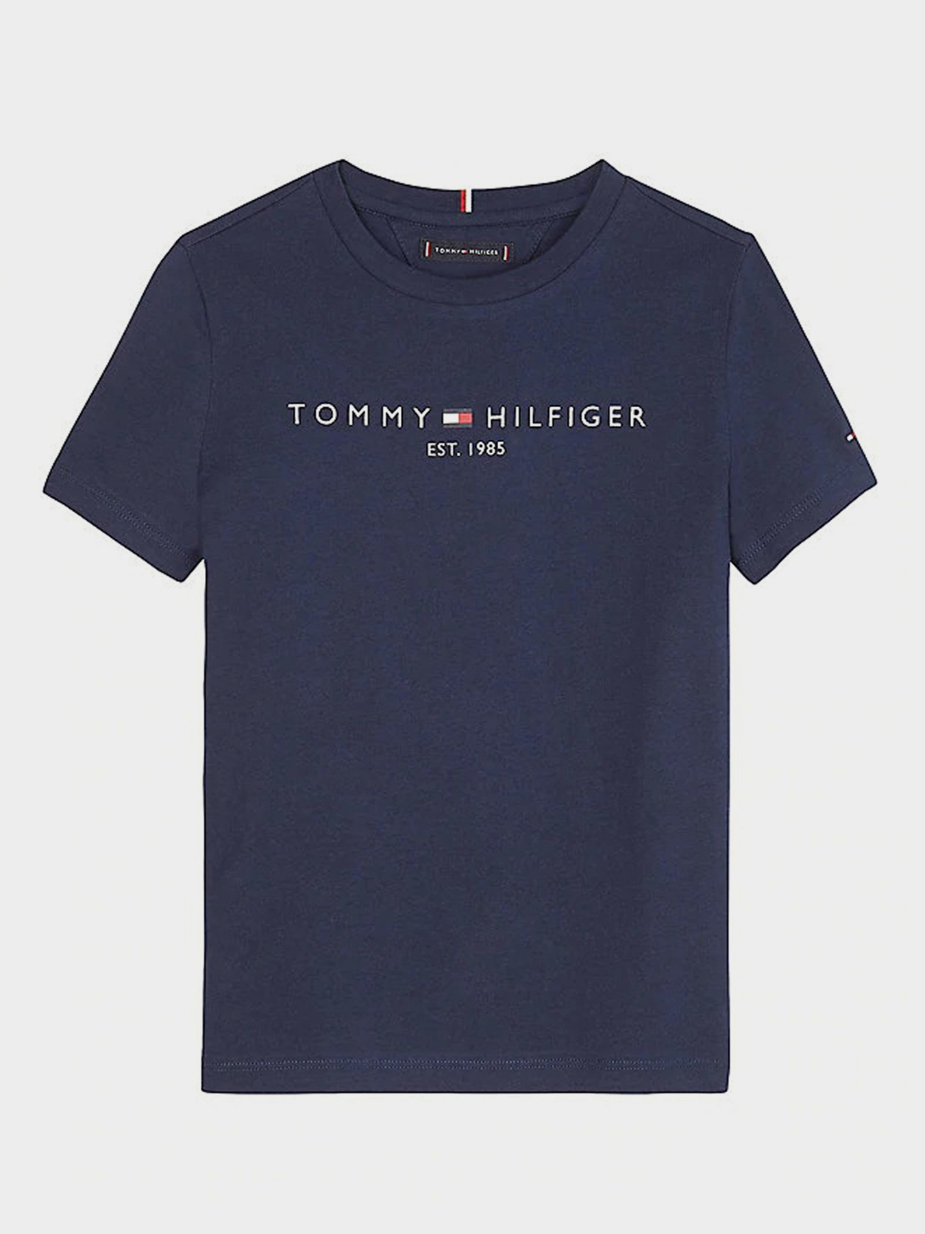 Футболки и поло Tommy Hilfiger модель KB0KB05627-C87 Фото