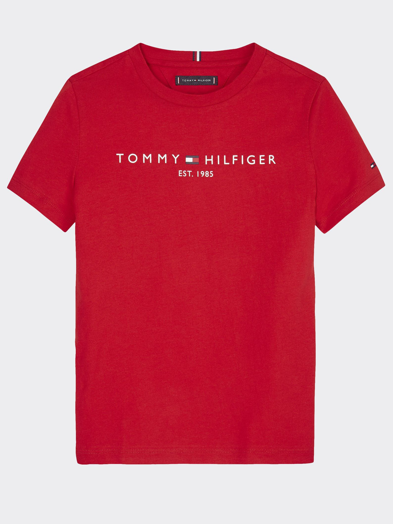 Футболки и поло Tommy Hilfiger модель KB0KB05627-XNL Фото