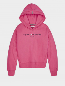 Худи Tommy Hilfiger модель KG0KG05042-XIF Фото