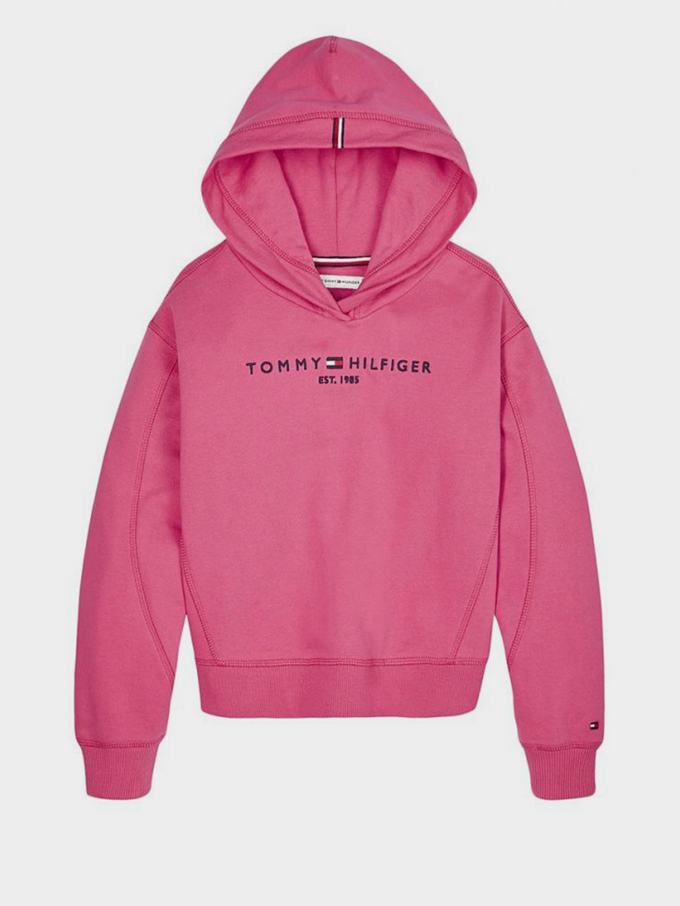 Худи Tommy Hilfiger модель KG0KG05042-XIF Фото