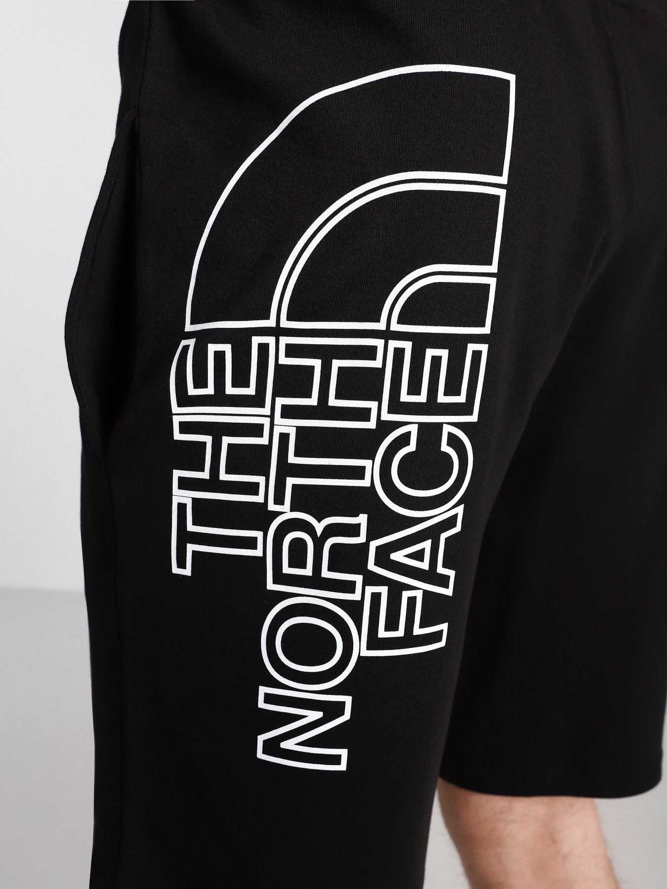 Повседневные шорты The North Face Graphic модель NF0A3S4FJK31 Повседневные шорты The North Face Graphic модель NF0A3S4FJK31 Фото