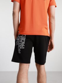 Повседневные шорты The North Face Graphic модель NF0A3S4FJK31 Повседневные шорты The North Face Graphic модель NF0A3S4FJK31 Фото