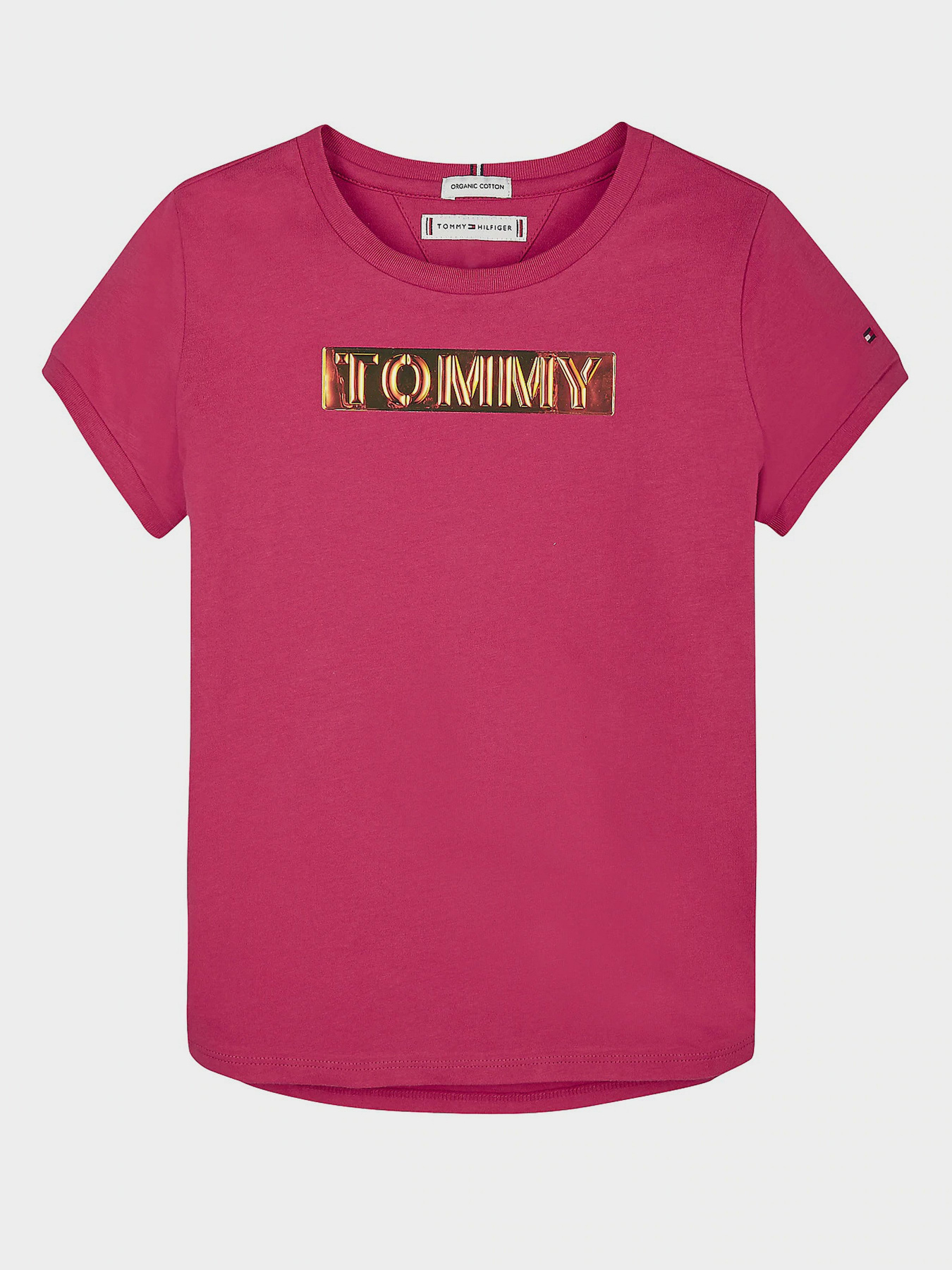 Футболки і поло Tommy Hilfiger модель KG0KG05028-XIF Фото