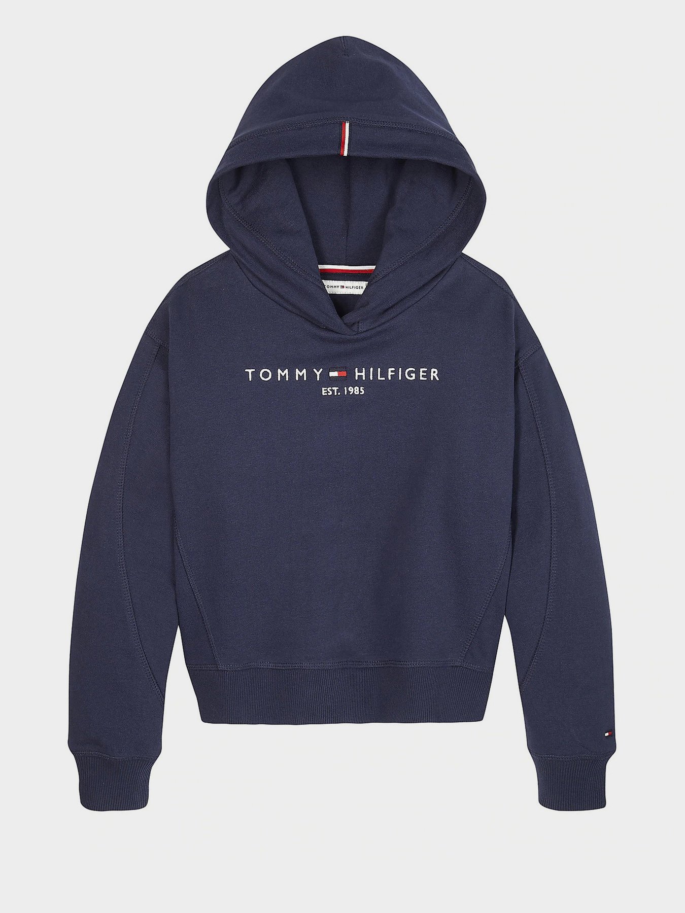 Худи и свитшоты Tommy Hilfiger модель KG0KG05042-C87 Фото