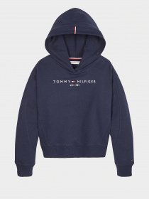 Худи и свитшоты Tommy Hilfiger модель KG0KG05042-C87 Фото