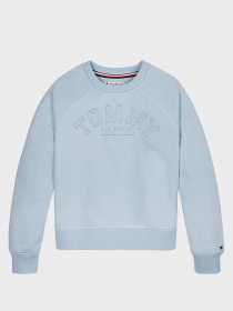 Кофта Tommy Hilfiger модель KG0KG05167-C1S Фото