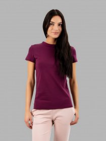 Футболки и поло Promin модель 2012-11 ВИННИЙ Фото