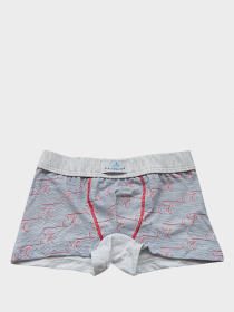 Труси Sealine модель 2180F snow Фото