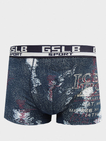 Трусы Sealine модель 5308F dark Фото