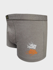 Труси Sealine модель 5308F grigio Фото