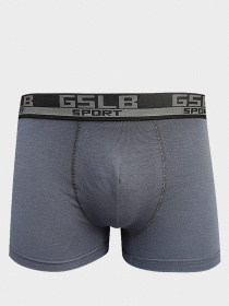 Трусы Sealine модель 5308F gris Фото