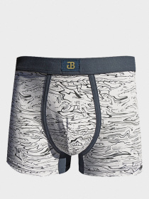 Труси Sealine модель 5324F gres Фото