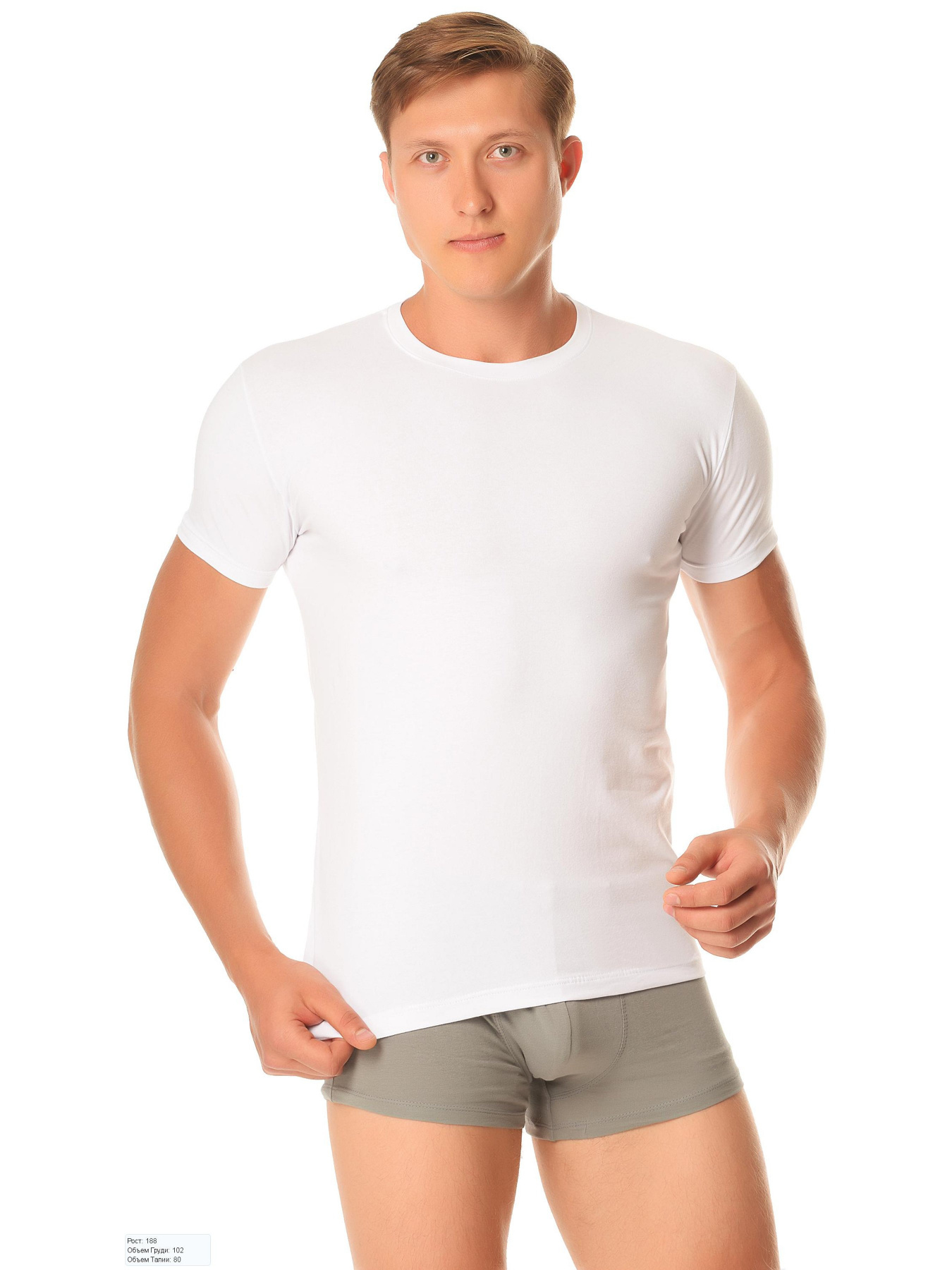 Футболки і поло Sealine модель 120-021 white Фото