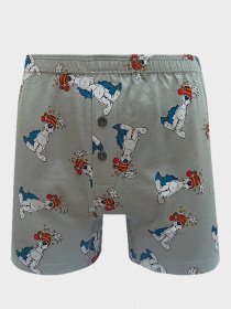 Трусы Sealine модель 010-1315 grey Фото