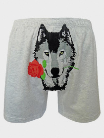 Труси Sealine модель 010-1473 grey Фото