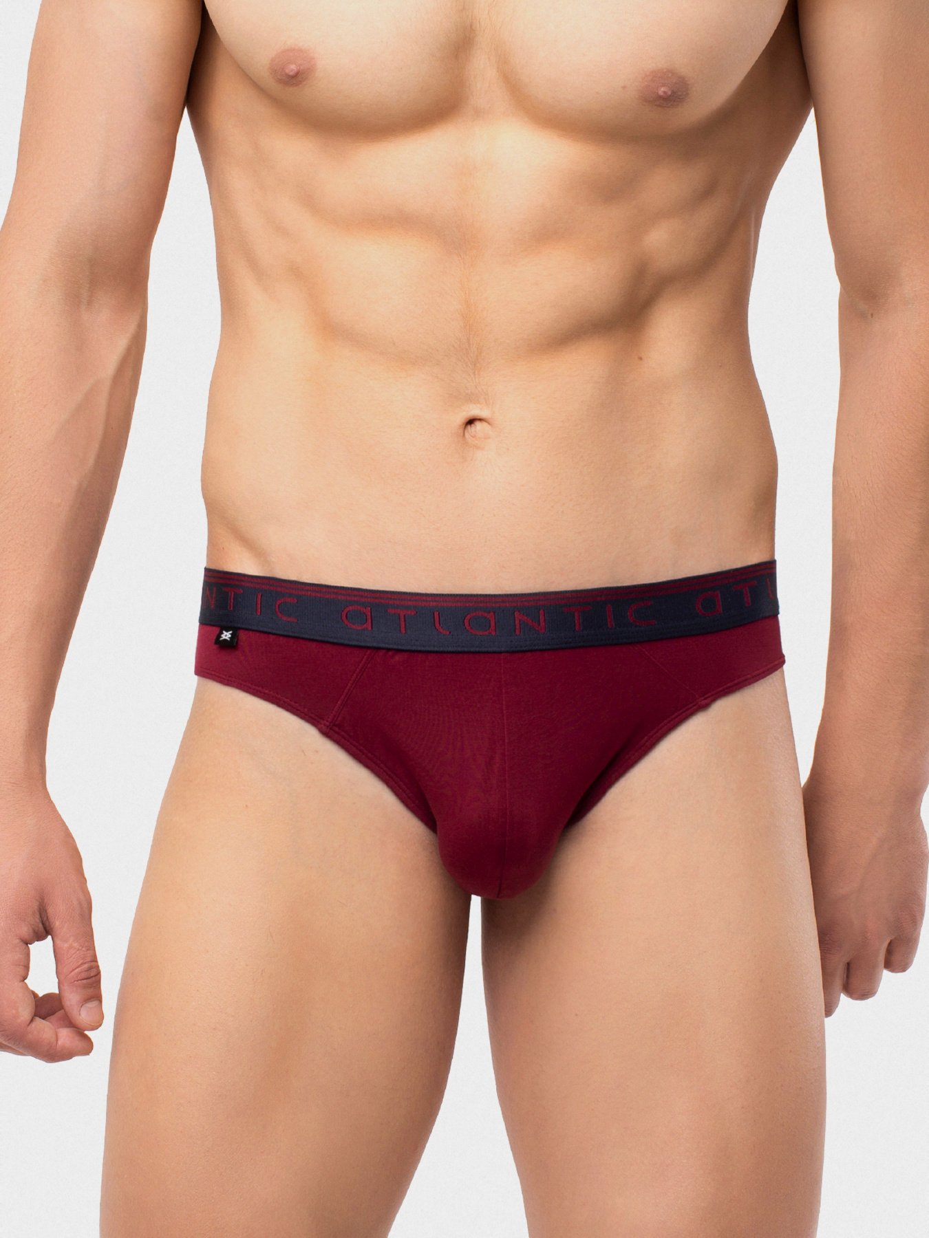 Трусы Atlantic модель MP-1498 BOR Фото