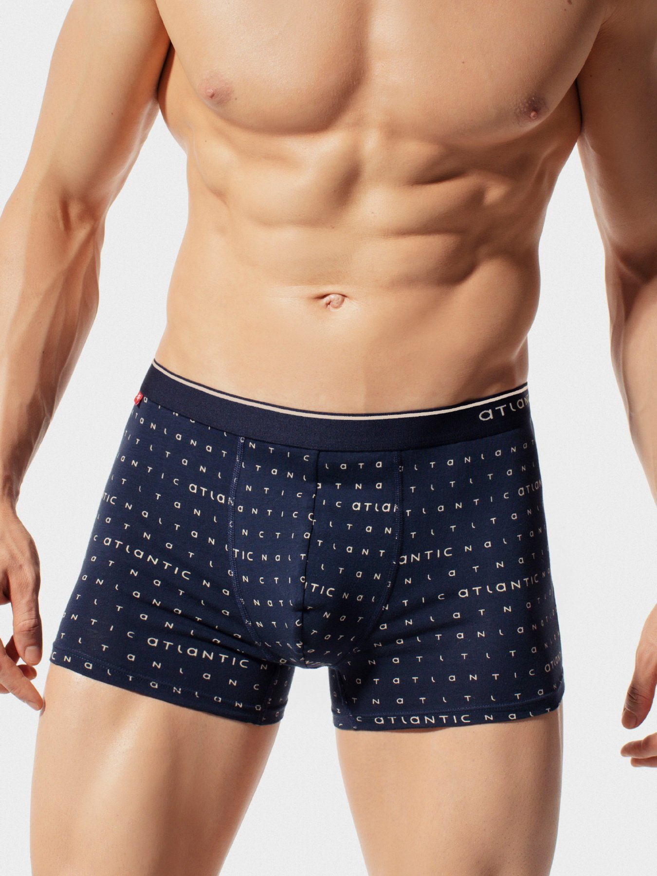 Труси Atlantic модель MH-1133 GRA Фото